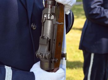 DSC_4550AB